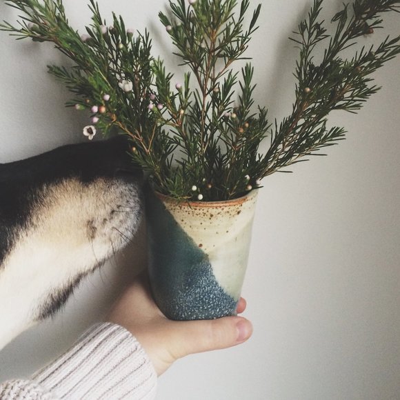 Meet your Posher, Miranda - Picture 1 of 1